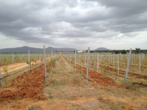 Mountains in background...